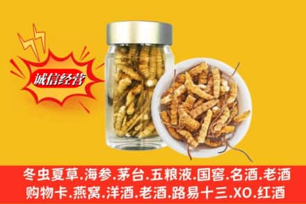 固原隆德县回收散虫草