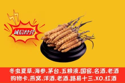 固原隆德县求购回收虫草多少钱每克